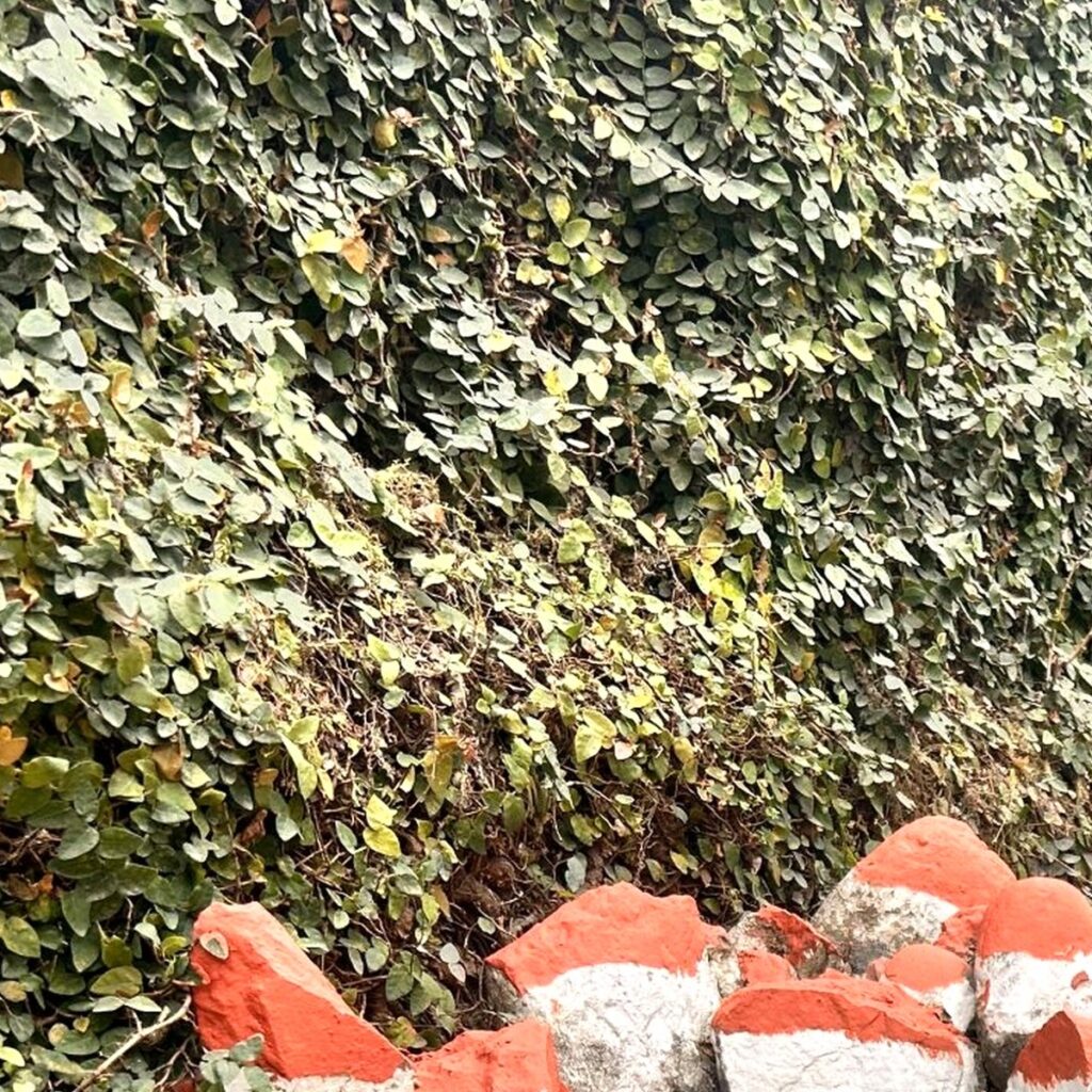아랍어 인사말 학습 현장 사진 1